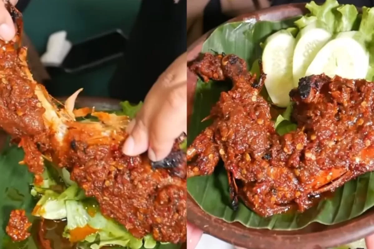 Cilacap's Legendary Chicken: The Flavor That Keeps You Coming Back
